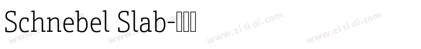 Schnebel Slab字体转换 Schnebel Slab字体转换